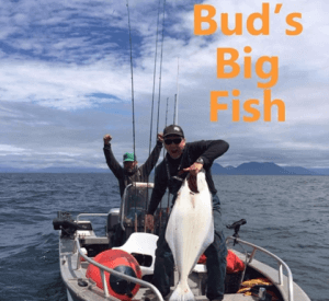 BigBud 300x275