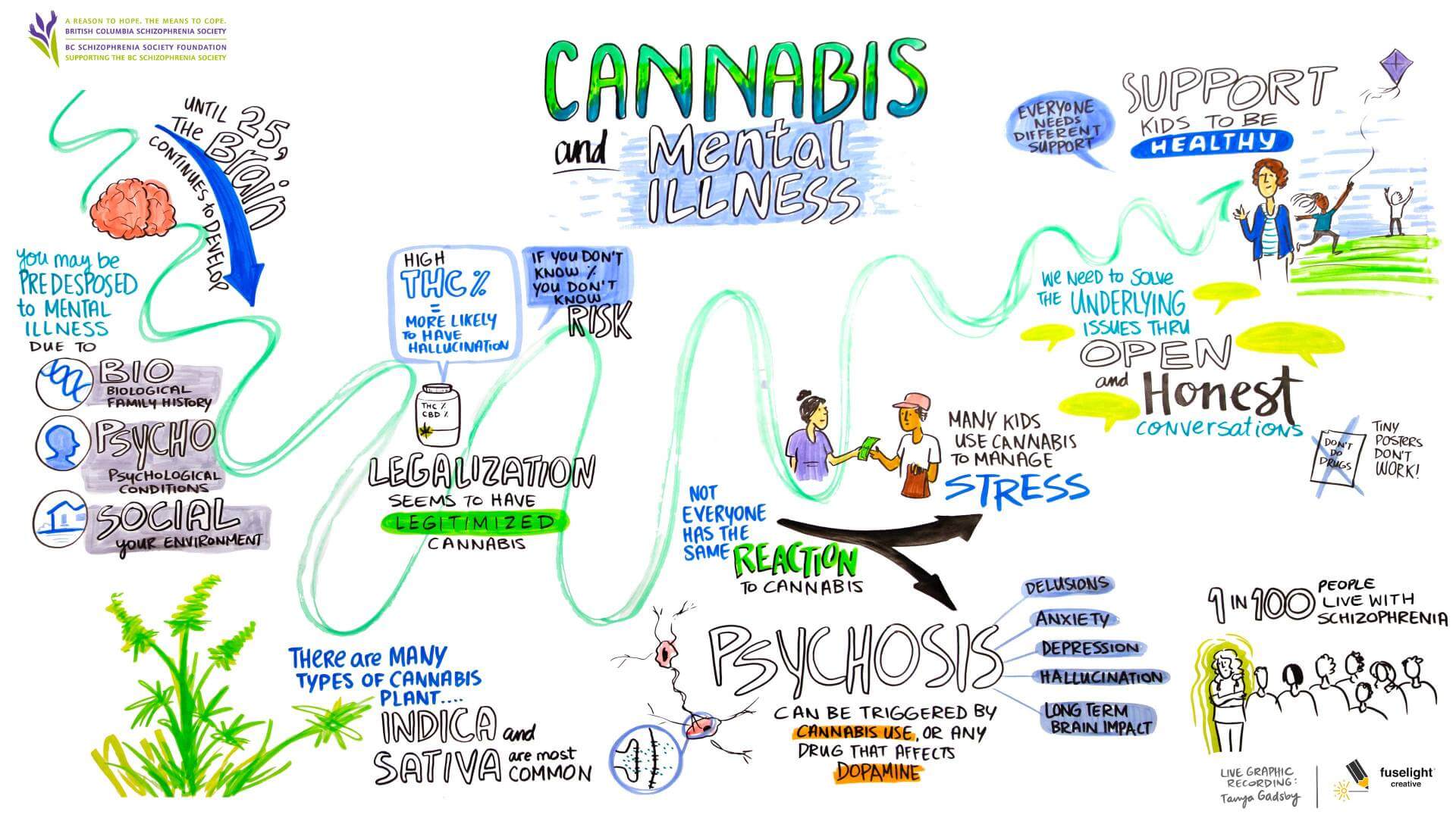 Cannabis and Mental Illness graphics